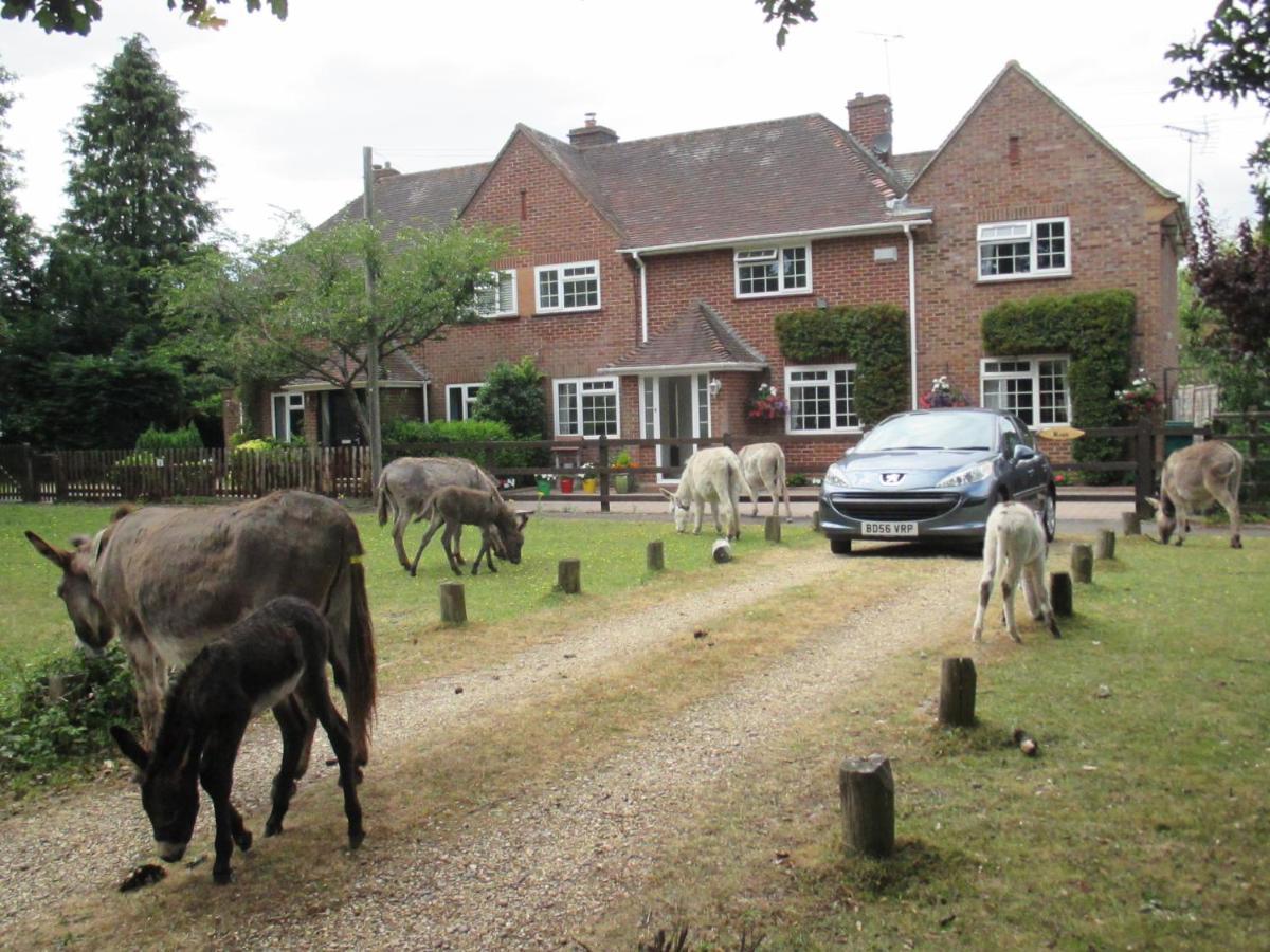 Hops Main House, Brockenhurst, New Forestヴィラ エクステリア 写真